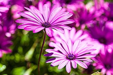 3DM速报：惩戒魅魔Steam锁国区 育碧《碧海黑帆》预算超1.2亿刀